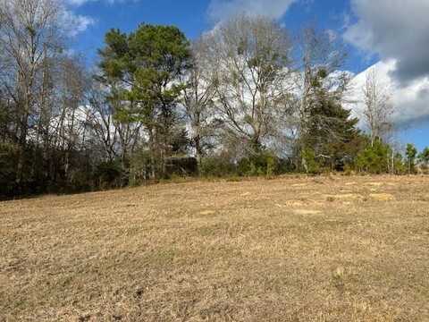 0 County Road 6, Glenwood, AL 36034