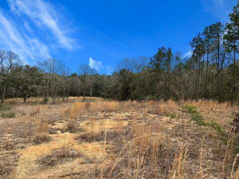 48 Crazy Tree Dr, Carriere, MS 39426