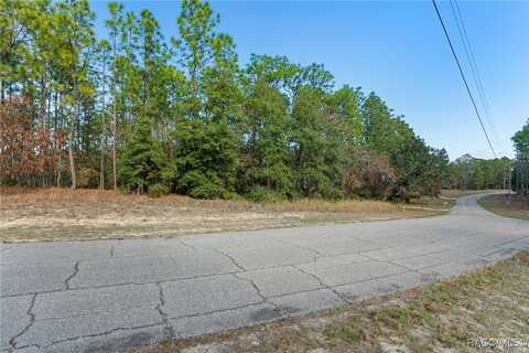 5355 N Tee Pee Drive, Beverly Hills, FL 34465