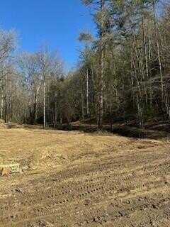 63.74 Chestnut Valley Road, Vonore, TN 37885