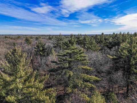 4.74 Acres Ria Lane, New Lisbon, WI 53950