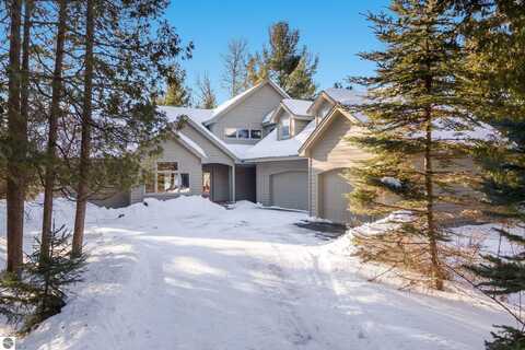 4254 S East Torch Lake Drive, Bellaire, MI 49615