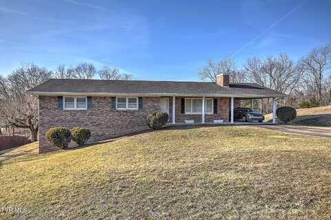 149 Aurawood Drive, Kingsport, TN 37660