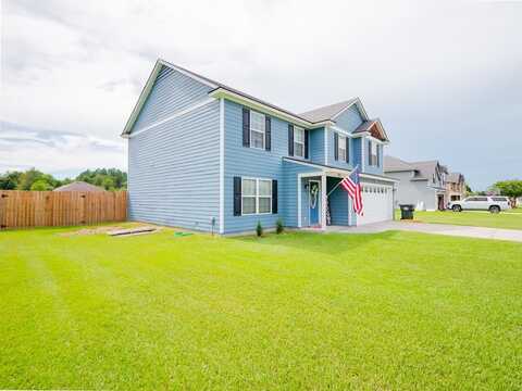 29 Moody Drive, Ray City, GA 31636