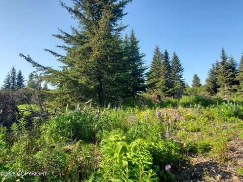 17589 Chefornak Street, Ninilchik, AK 99639