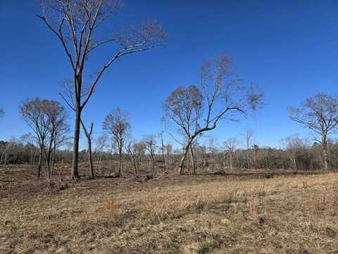 Lot A Atomic Road, Beech Island, SC 29842