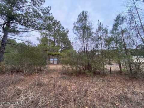 1310 Slocum Trail, Atkinson, NC 28421