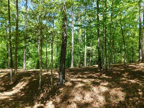 Lot 47 Cliffs South Parkway, Salem, SC 29676