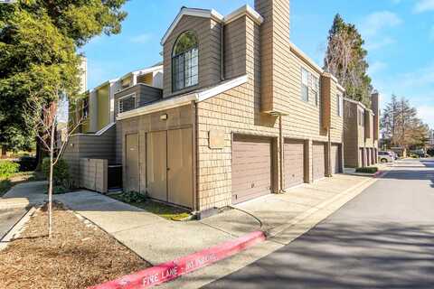 319 S Overlook Dr, San Ramon, CA 94582