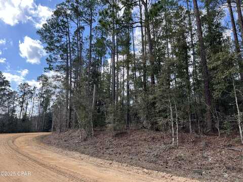 Lot 5 Hood Avenue, Alford, FL 32420