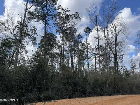 Lot 27 Southern Boulevard, Alford, FL 32420