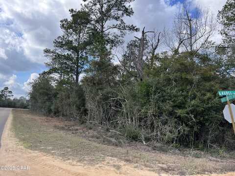 Lot 13 Vancouver Drive, Alford, FL 32420