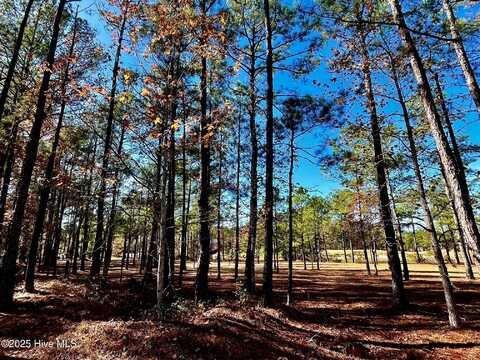 5841 Biltmore Point, Ocean Isle Beach, NC 28469
