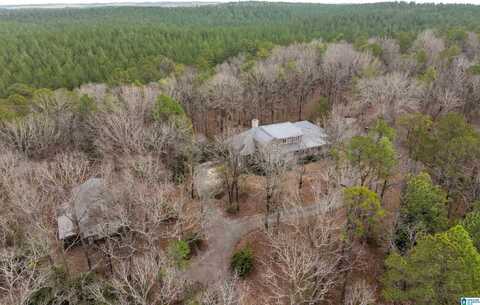 0 BRUSH CREEK FARMS, COLUMBIANA, AL 35051