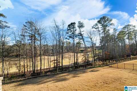 5173 E CLUB RIDGE DRIVE, VESTAVIA HILLS, AL 35242