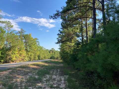 FIRETOWER ROAD, CUSSETA, GA 31805