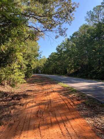 FIRETOWER ROAD, CUSSETA, GA 31805