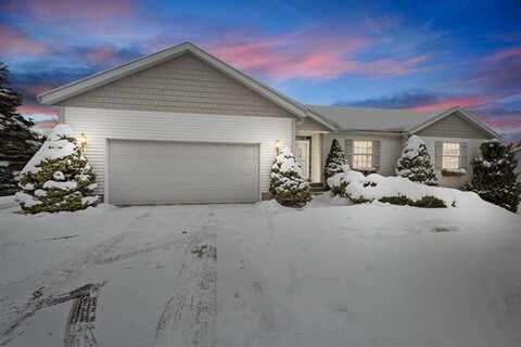 800 BERTINA LANE, BLAIR TWP, MI 49696