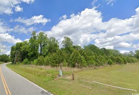 Parcel #1 Amber Ln., Galivants Ferry, SC 29544