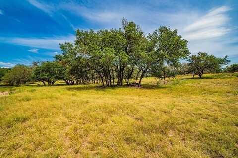 326 Blue Oak Tr, Harper, TX 78631