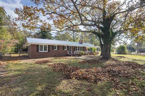 39 Gantt Street, Wagener, SC 29164