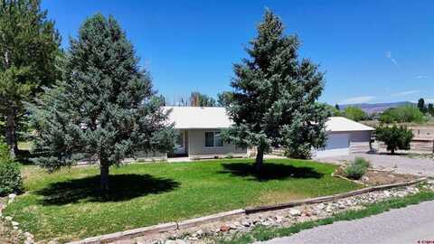 60711 Horizon Road, Montrose, CO 81403