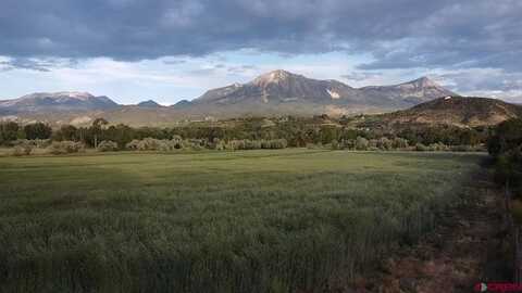 Lot 2 - TBD Hwy 133 Highway, Paonia, CO 81428