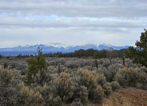 TBD County Road 136, Hesperus, CO 81326