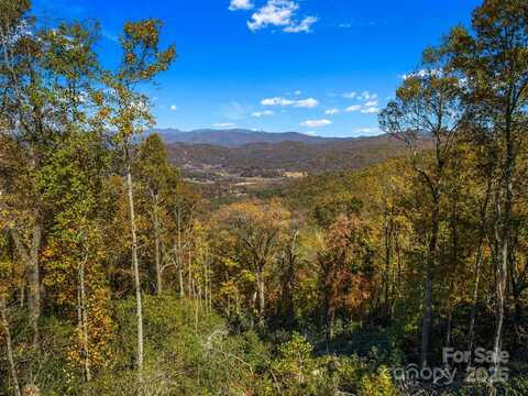 Laurel Ledge Way unit: 19, Fletcher, NC 28732