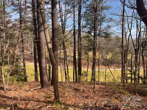 121 Bobby Jones Drive unit: 48, Hendersonville, NC 28739