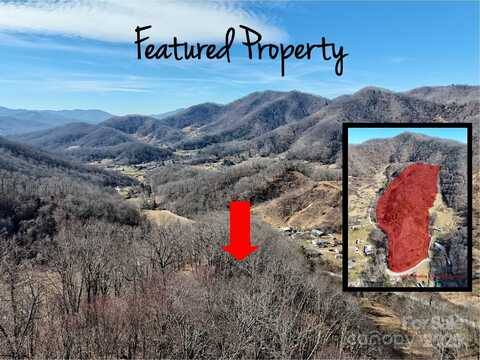 00 Wilson Cove Road, Canton, NC 28716