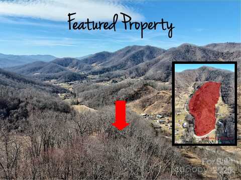 Wilson Cove Road, Canton, NC 28716
