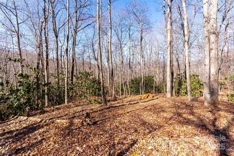 1248 Arborcrest Way unit: 46, Swannanoa, NC 28778
