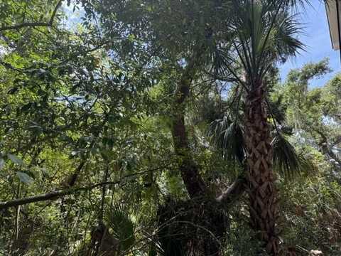 A-16 Oristo Ridge, Edisto Island, SC 29438