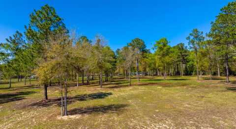 20 Acres Cannon Drive, Paxton, FL 32538