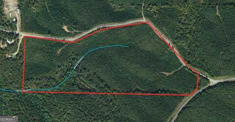 49.5 Ac County Road 804, Wedowee, AL 36278