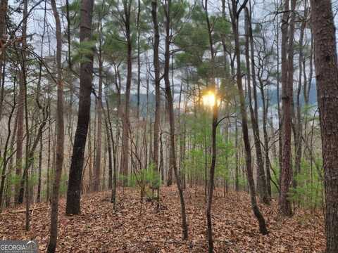 Lot 1665 Hunter, Talking Rock, GA 30175