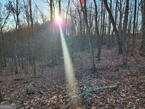 Lot 390 Walhalla, Ellijay, GA 30540