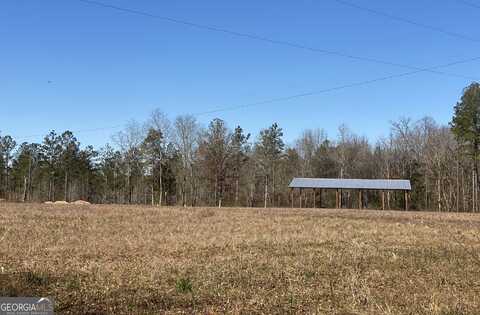 40 +/- Acres Forsyth Yatesville, Yatesville, GA 31097