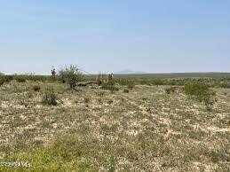 undefined, Sierra Blanca, TX 79851