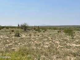 Tbd TBD, Sierra Blanca, TX 79851