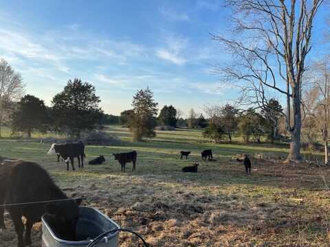 188 Kennedy Rd, Mc Cormick, SC 29835