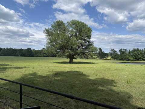 434 CR 3433, Jacksonville, TX 75766