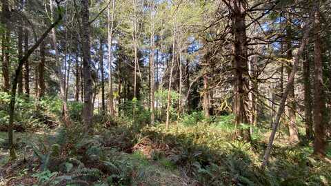0000 Worthington Drive, Humboldt Hill, CA 95503
