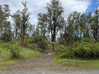 11-3214 LAUPAKA RD, Volcano, HI 96785