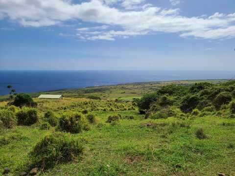 95-1406 KAALAIKI RD, Naalehu, HI 96772