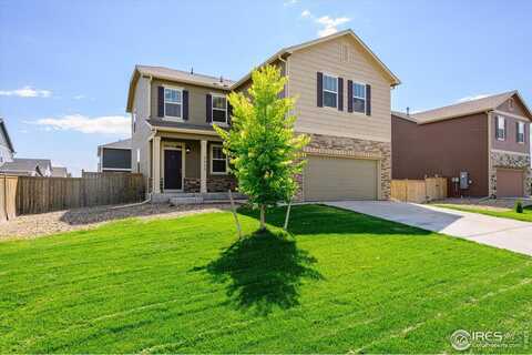 3623 Torch Lily St, Wellington, CO 80549