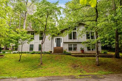 147 County Road 576, Englewood, TN 37329