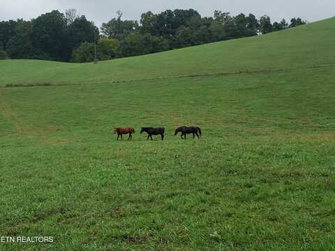 327 Leabow Hollow Rd, Tazewell, TN 37879