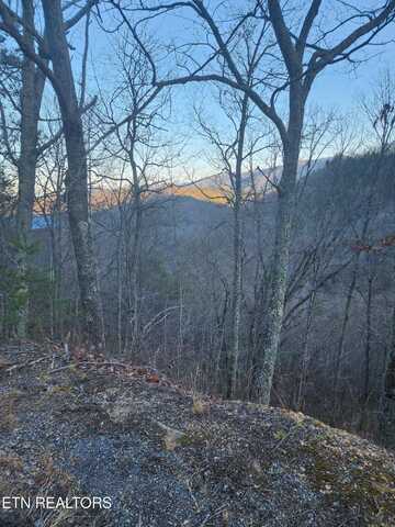 Overholt Trl Lot 3B, Sevierville, TN 37862